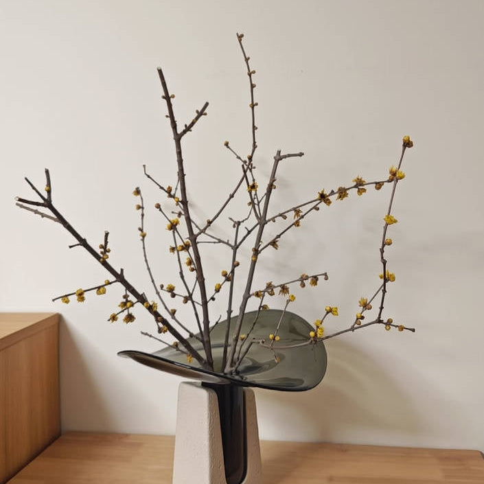 Moderner Glasvasen-Dekor mit Zementbasis im minimalistischen Design
