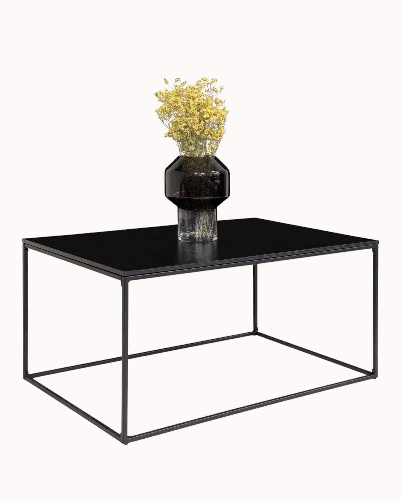 Vita Couchtisch – Schwarz – Metallgestell – 60x90x45 cm