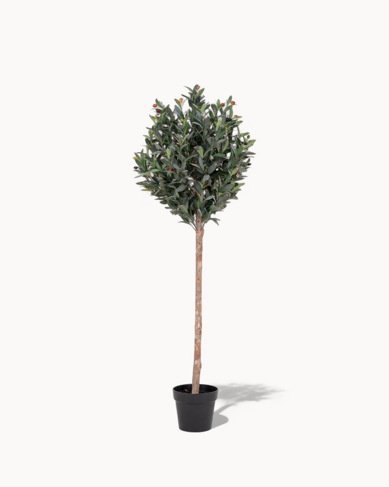Künstlicher Olivenbaum – 150 cm, grünes Deko-Baum für Innen