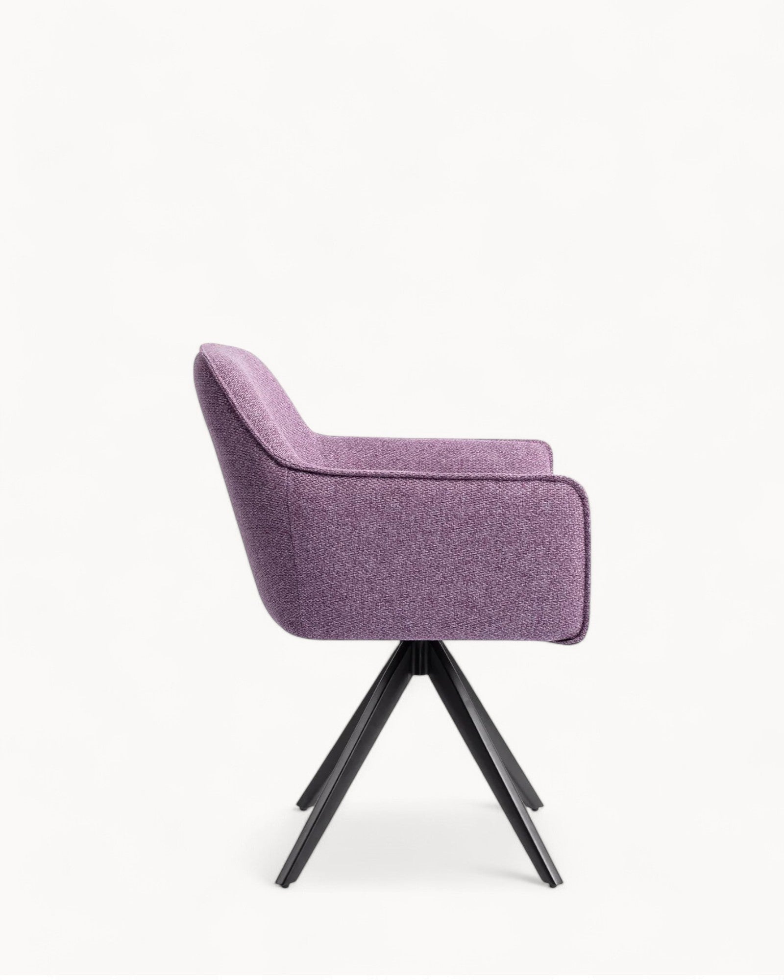 Violettes Gänseblümchen