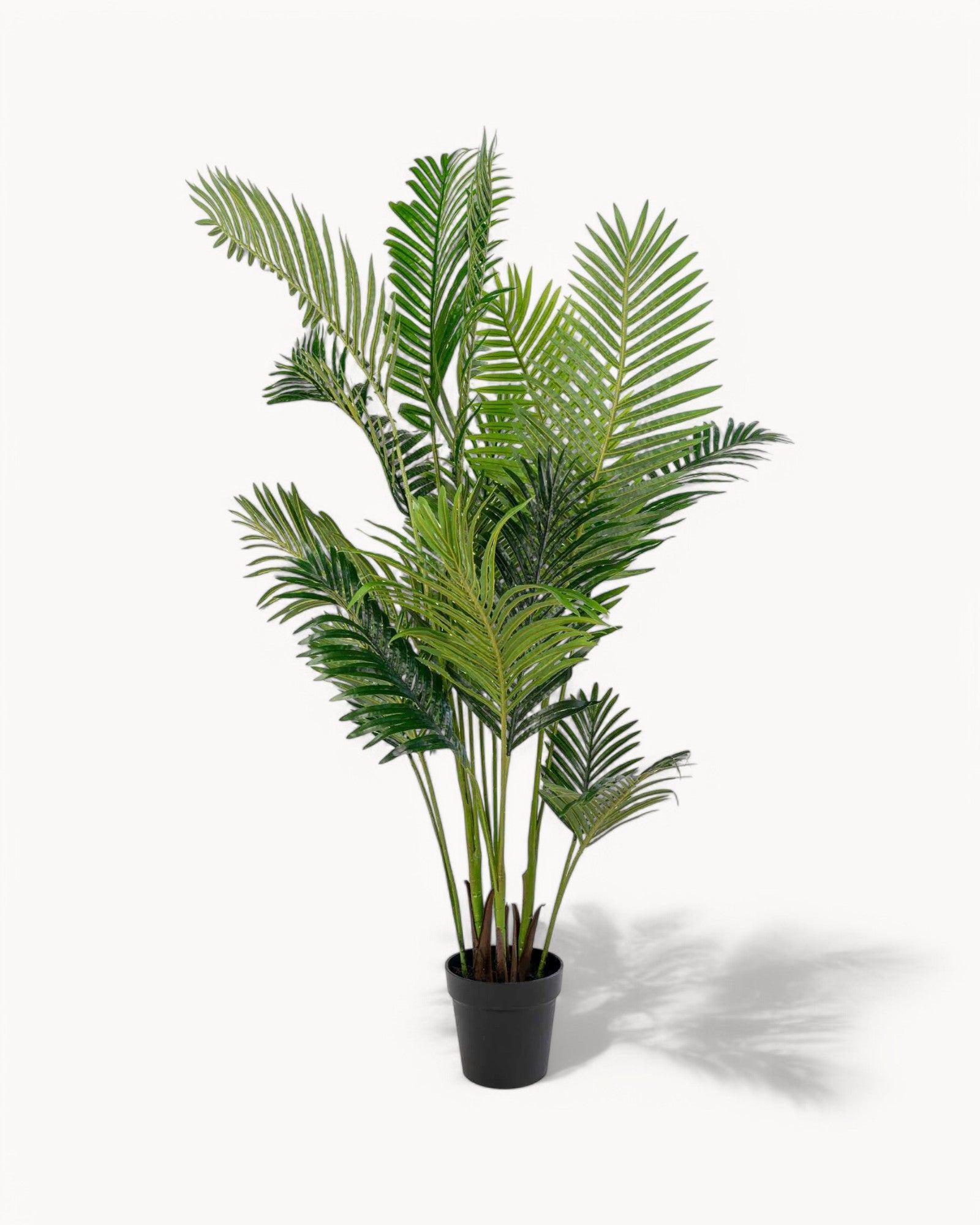 Areca Palme - Künstliche grüne Palme - 175 cm - Realistisches Design