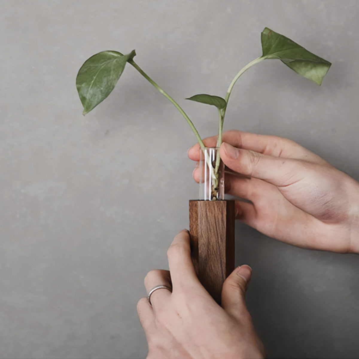 Blumenflöte Wandvase