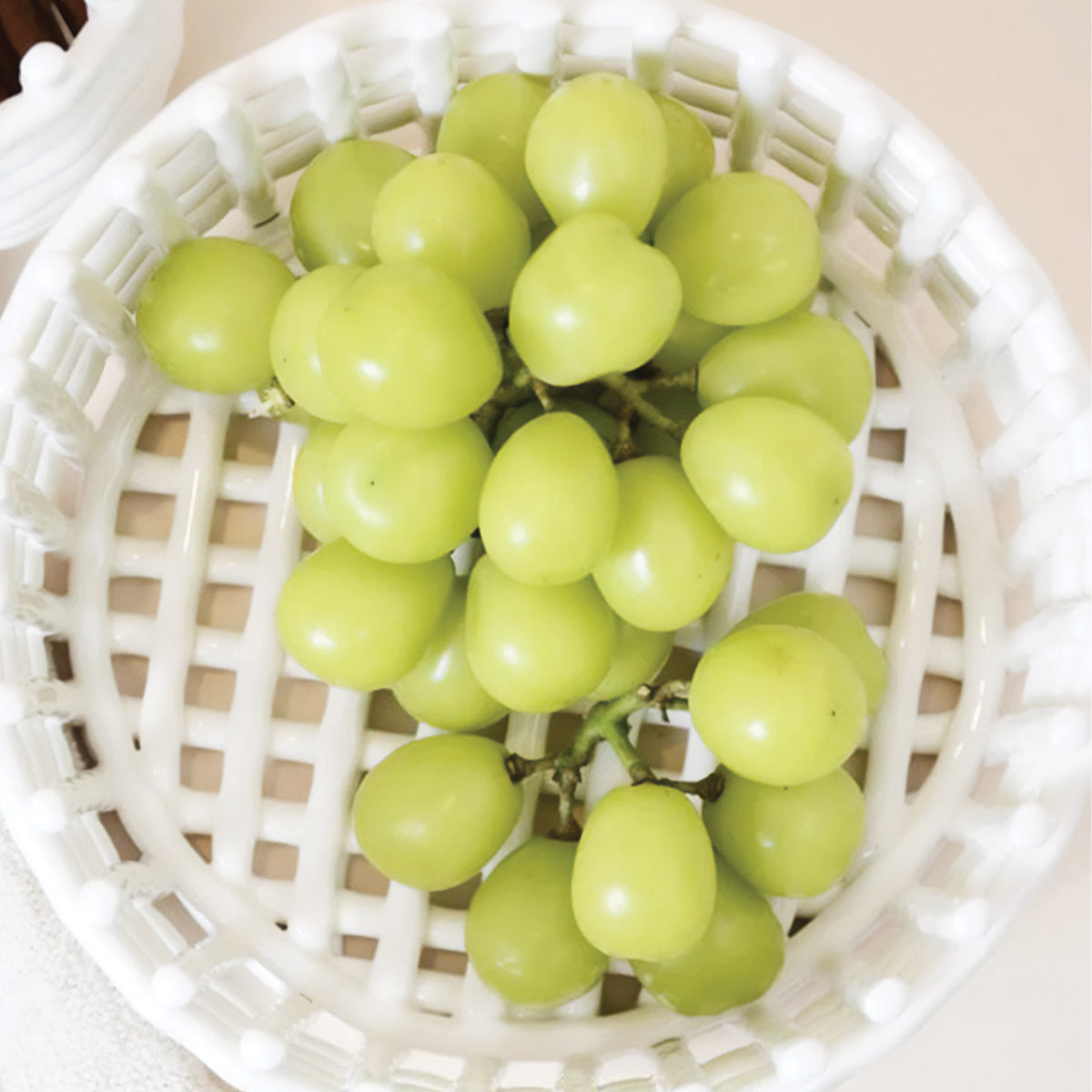 Forma Korb Kollektion