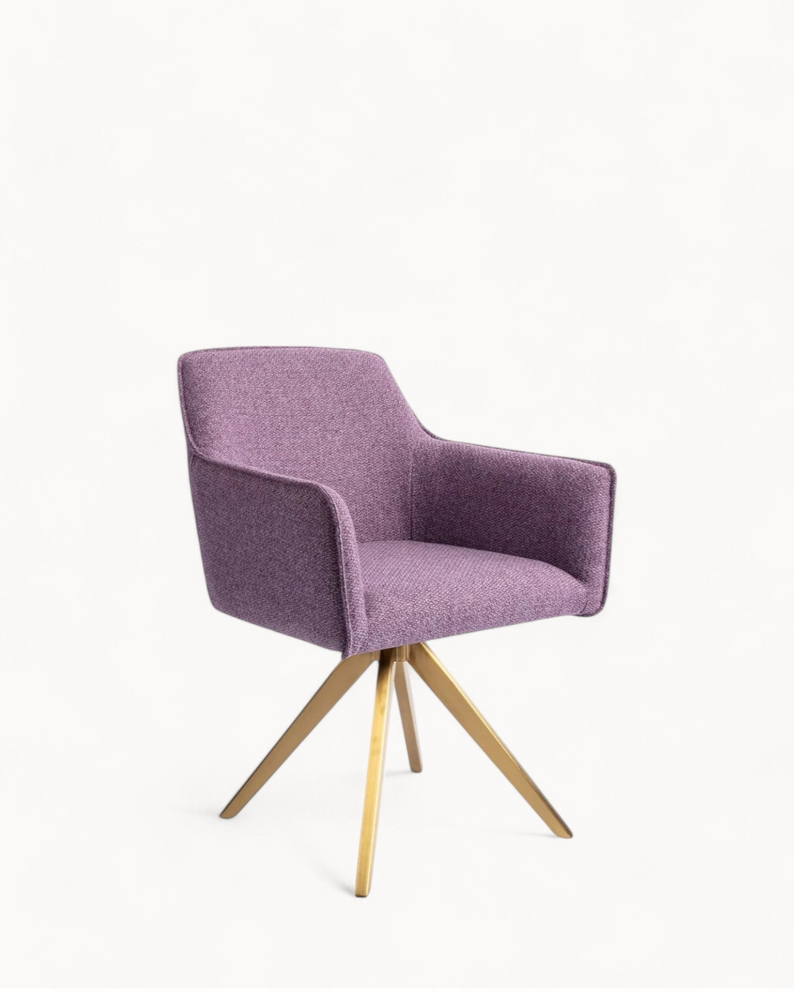 Violettes Gänseblümchen