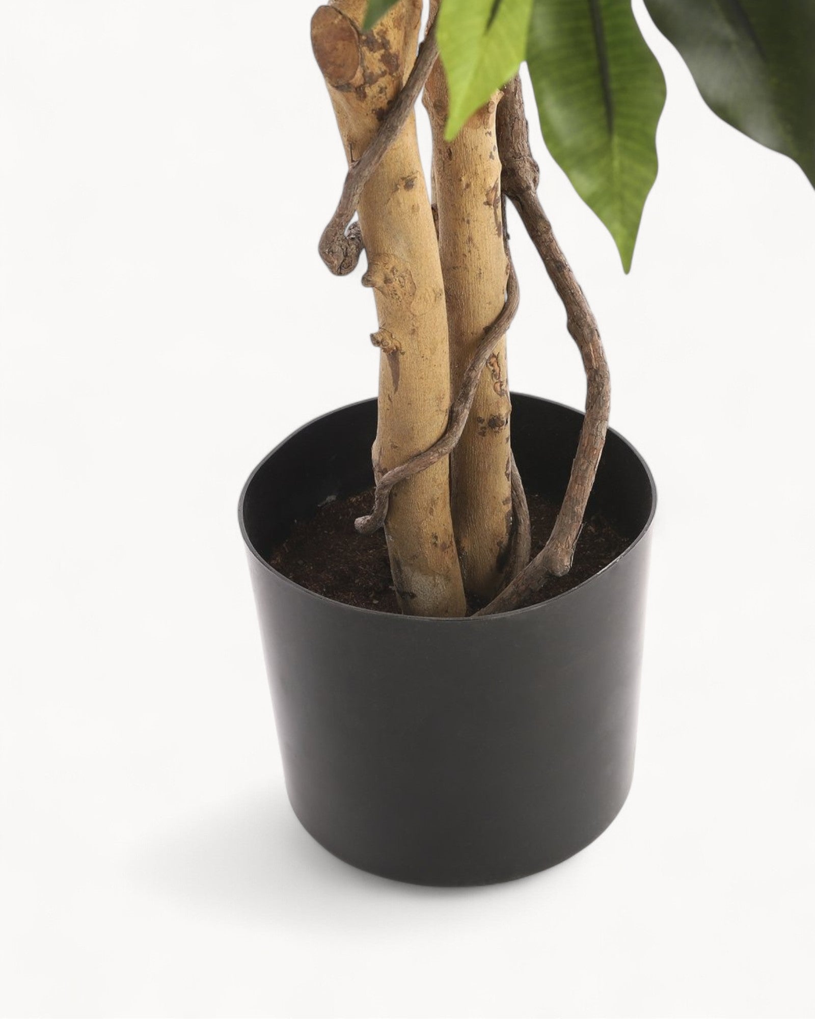 Mica Decorations Ficus Flair – Künstliche Pflanze H110 x Ø65 cm Grün