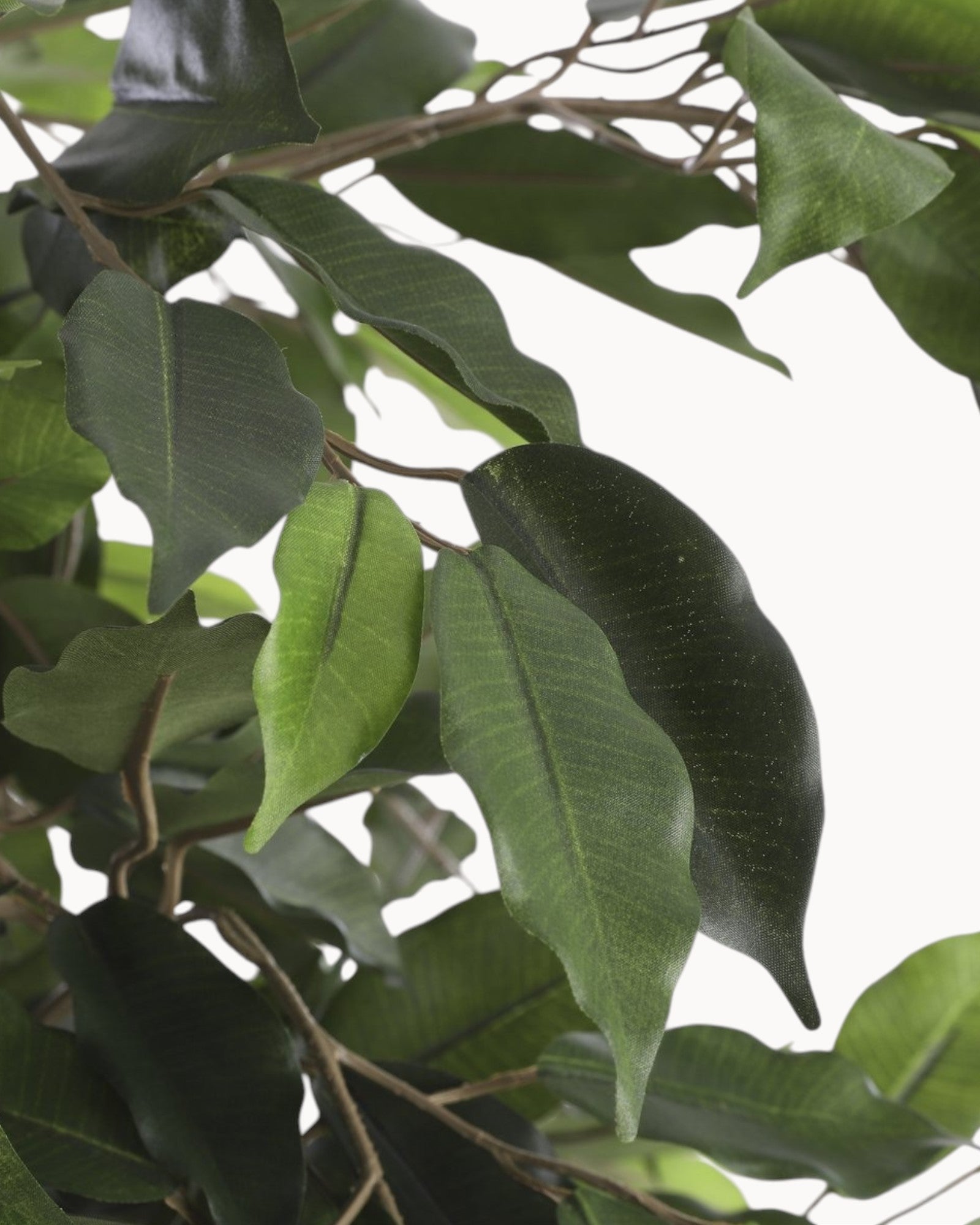 Mica Decorations Ficus Flair – Künstliche Pflanze H110 x Ø65 cm Grün