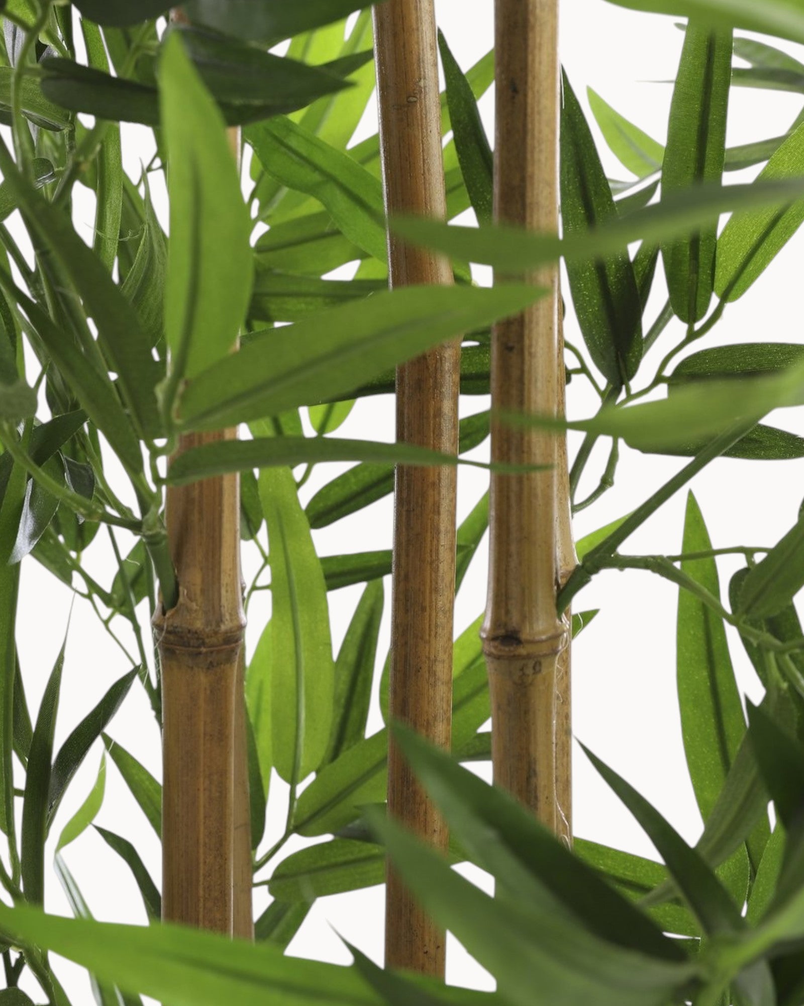 Mica Decorations – Künstliche Bambuspflanze 155 cm – Pflegefrei