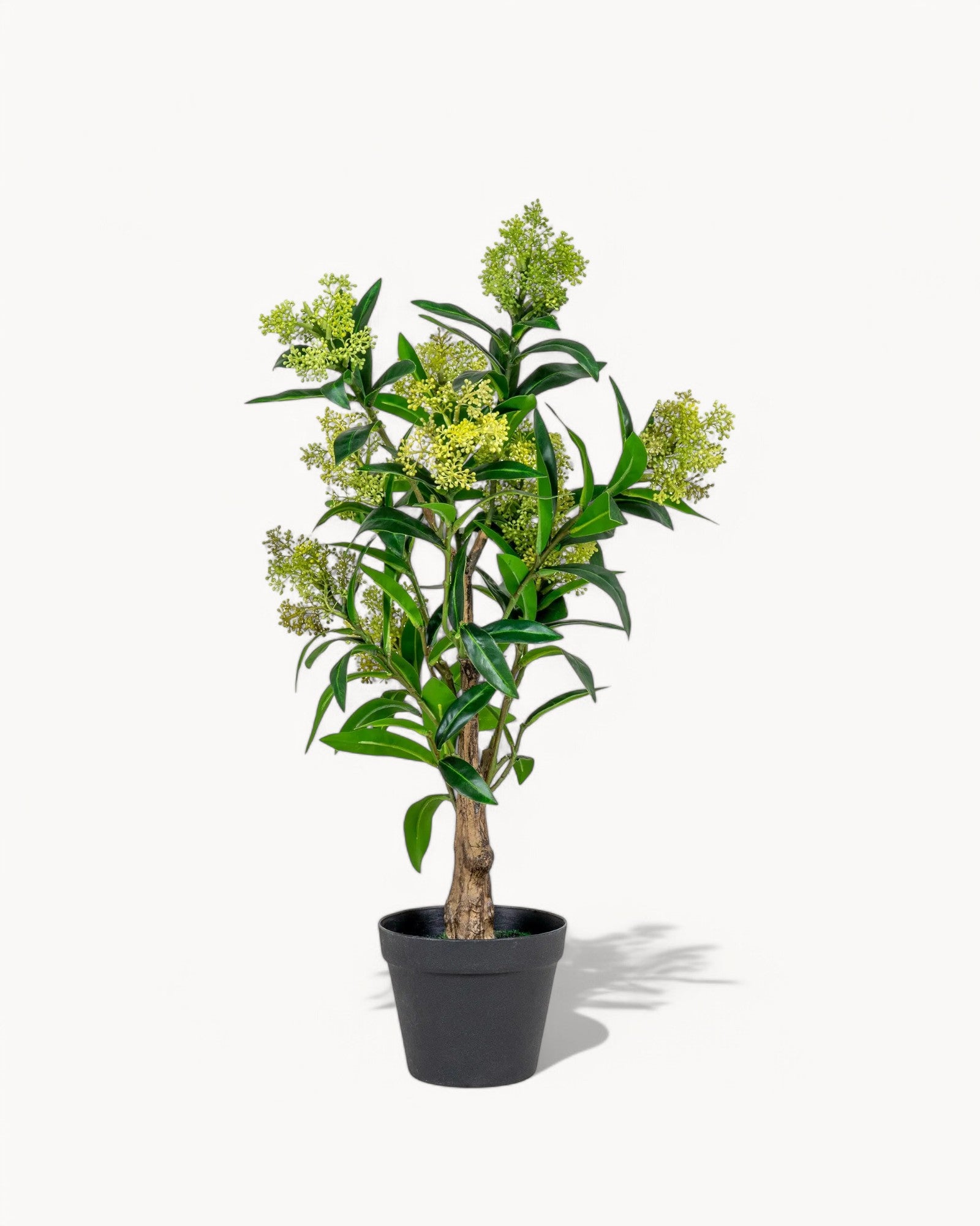 Künstlicher Skimmia Baum - Grünes Kunstpflanze - 75 cm - PE Kunststoff
