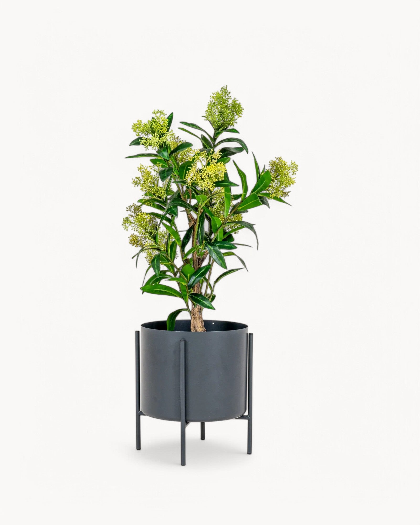 Künstlicher Skimmia Baum - Grünes Kunstpflanze - 75 cm - PE Kunststoff