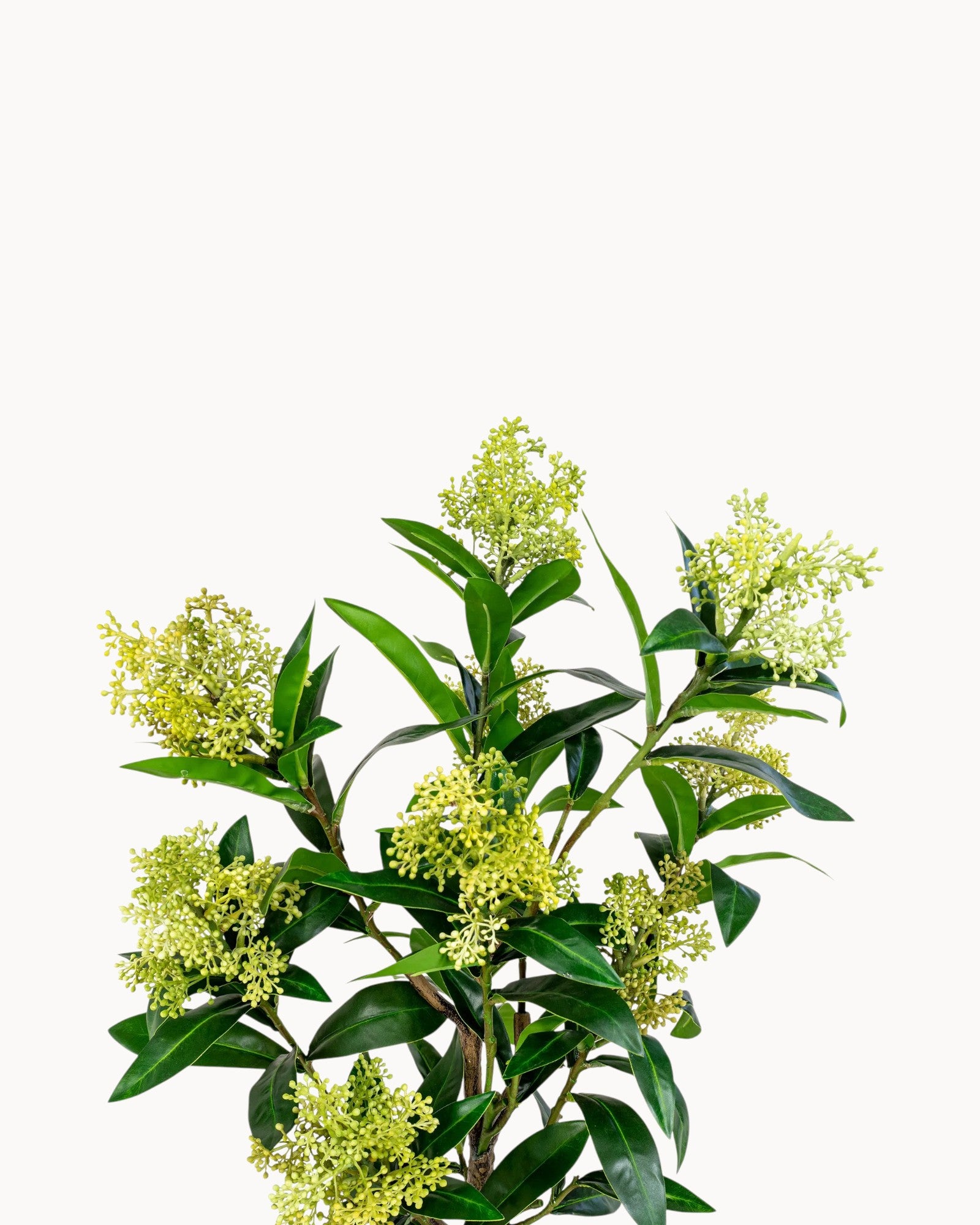 Künstlicher Skimmia Baum - Grünes Kunstpflanze - 75 cm - PE Kunststoff