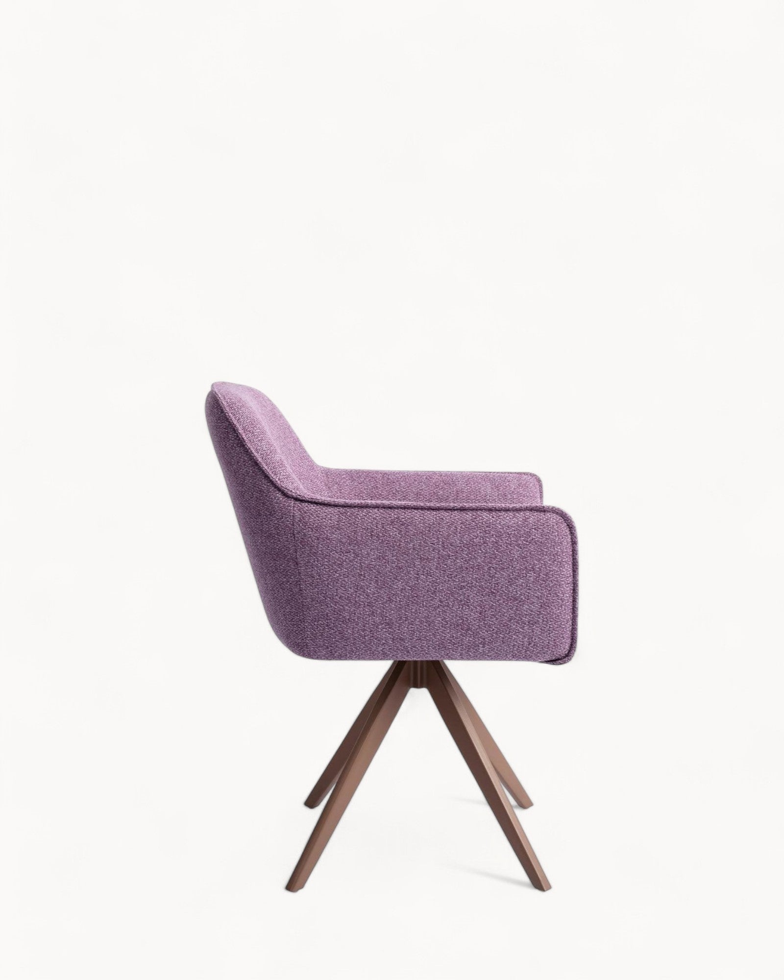 Violettes Gänseblümchen