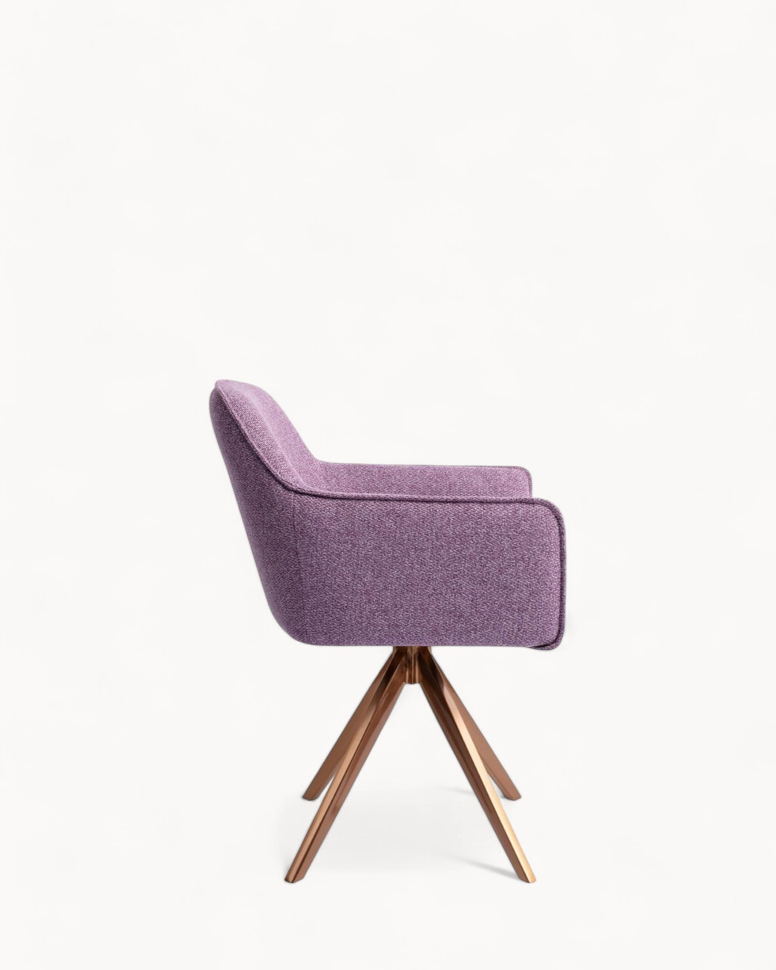 Violettes Gänseblümchen